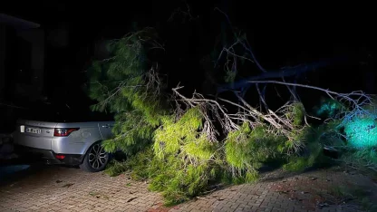 Marmaris’te fırtına ağaç devirdi: 1 kişi yaralandı