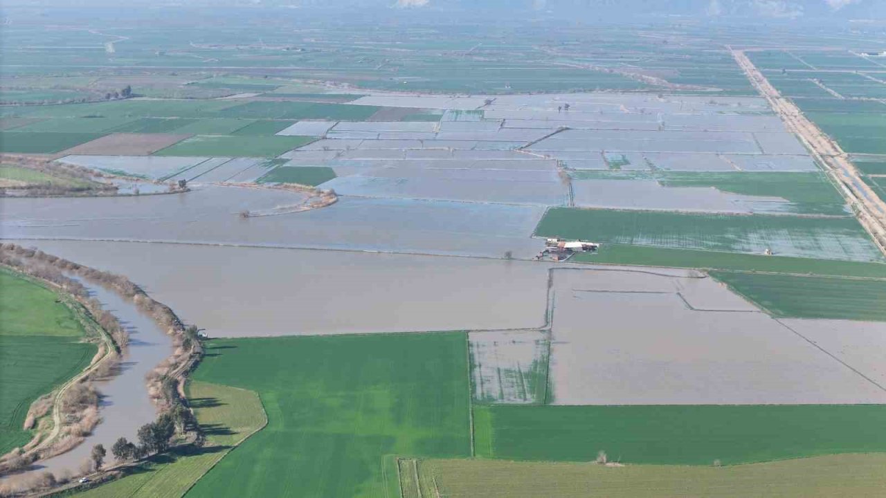 Menderes taştı, yüzlerce dönüm sular altında kaldı