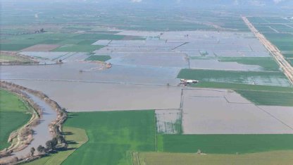 Menderes taştı, yüzlerce dönüm sular altında kaldı