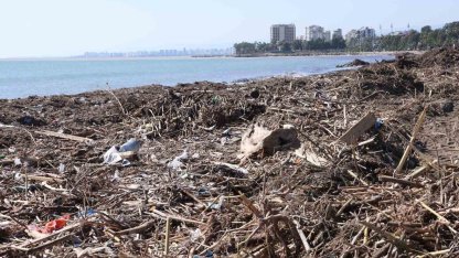 Mersin sahillerinde selin denize taşıdığı balçıklar temizleniyor