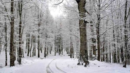 Ordu’nun 15 ilçesinde eğitime kar engeli