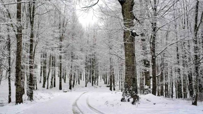 Ordu’nun 15 ilçesinde eğitime kar engeli