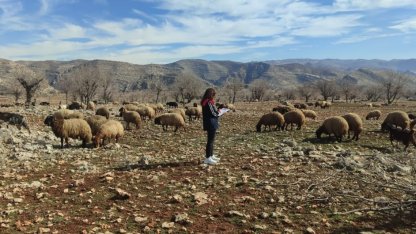 Ormaniçi’nde mera seferberliği: Ekipler sahada, arazi kullanımı mercek altında