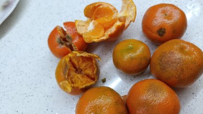 Pazardan aldığı 2 kilo mandalinanın yarısı çürük çıktı