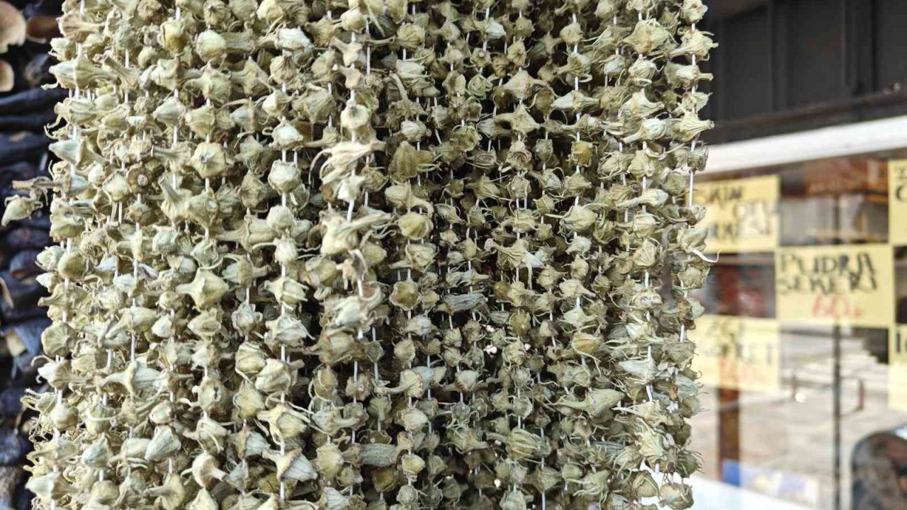 Ramazan’ın gözdesi bamya tezgahlarda