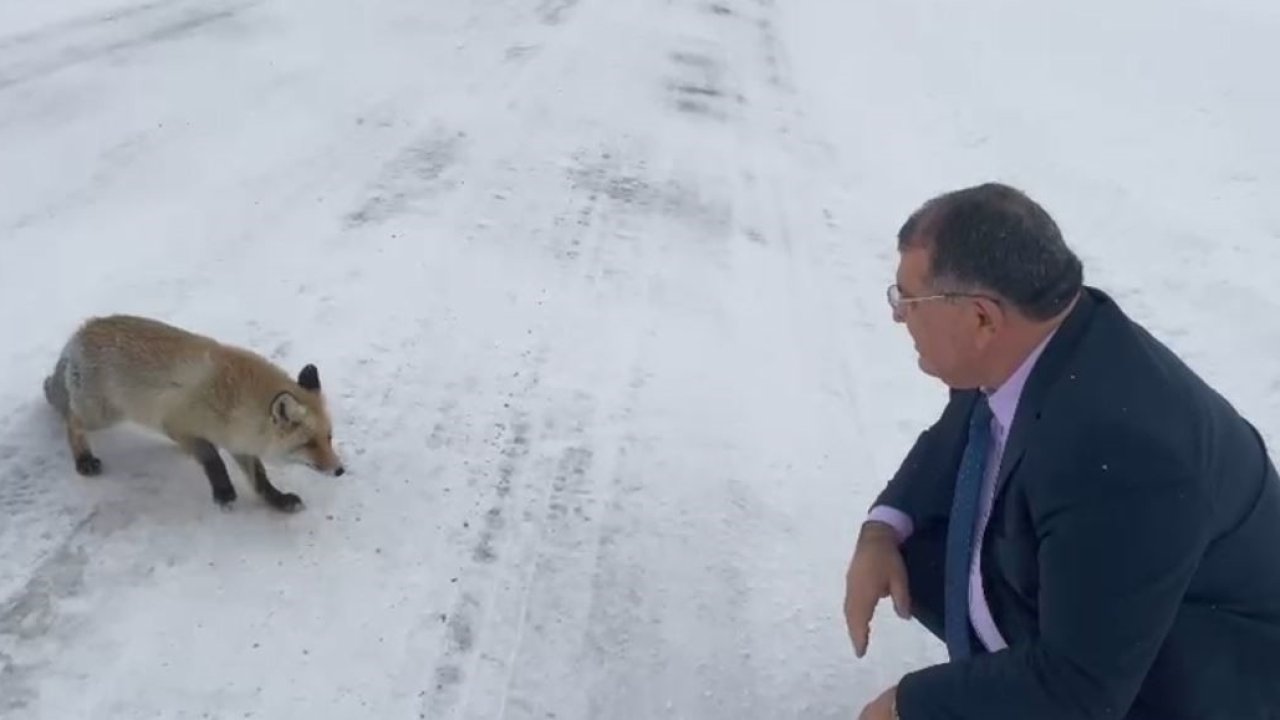 Sahara Geçidi’nde karşılaştığı tilkiye yiyecek verdi