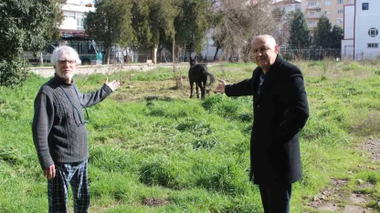 Sahipleri ölüme terk etti, resmi kurumlar topu birbirine attı