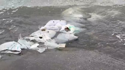 Samsun’da denizde çuvallar içinde inşaat malzemesi bulundu