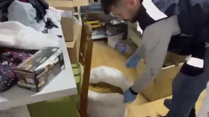 Samsun’da kaçak tütün mamulü operasyonu: 4 şüpheli yakalandı