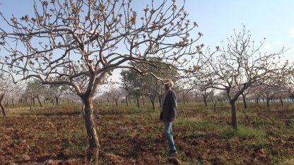 Şanlıurfa’da yoğun kar yağışları çiftçinin yüzünü güldürdü