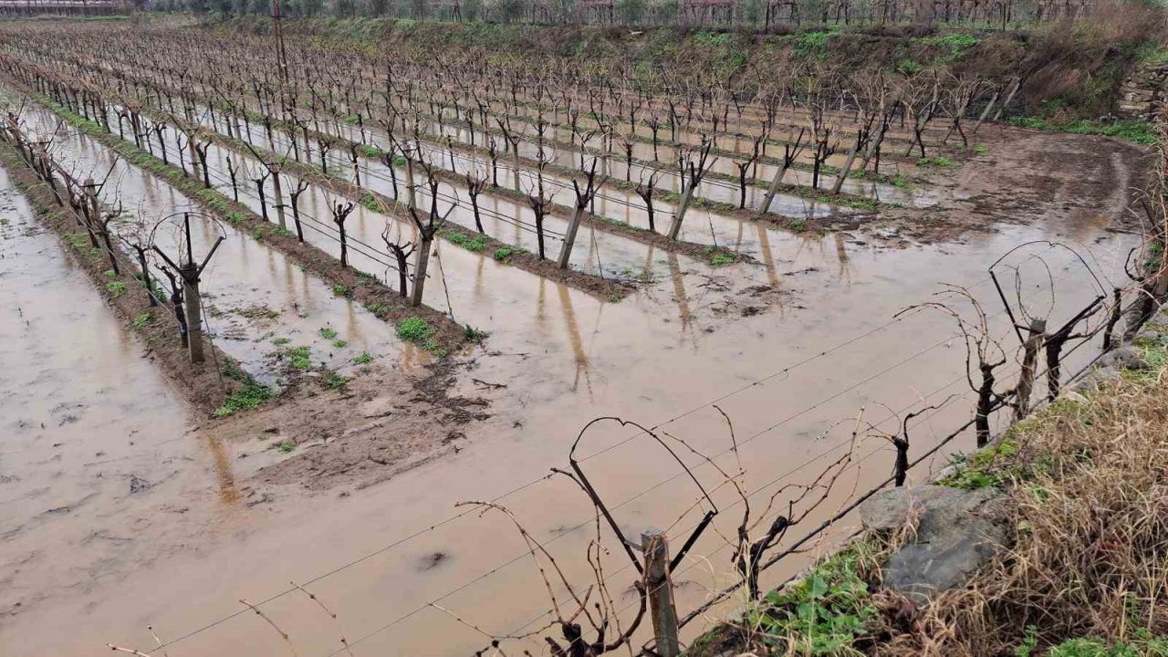 Sarıgöl’de bereketli yağmurlar yüzleri güldürdü