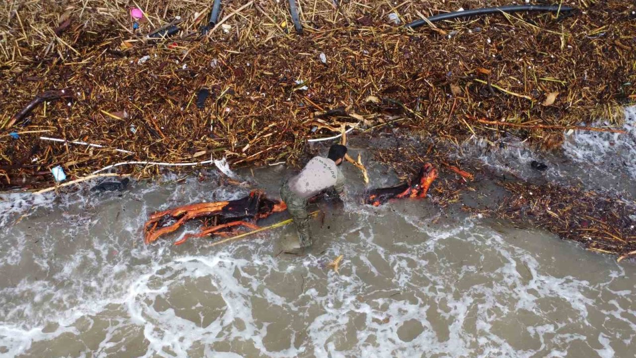 Sel sonrası ’milyonluk’ yazlıkların önünde ’ekmek’ mücadelesi