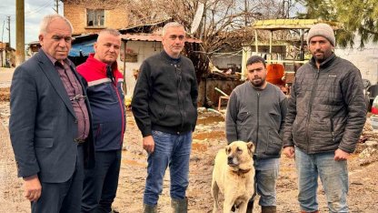 Söke Ovası’nda yağış sonrası zarar tespit çalışmaları