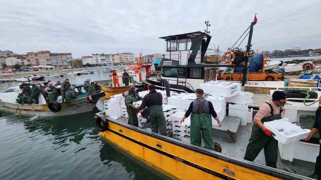 Tekirdağ açıklarında torik bereketi