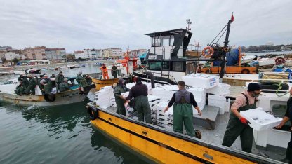 Tekirdağ açıklarında torik bereketi