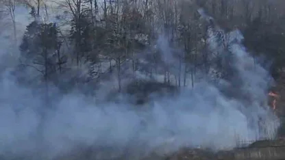 Trabzon’da örtü yangınları