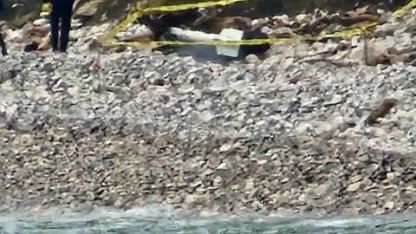 Türkeli’de kıyıya vuran şüpheli cisim korkuttu