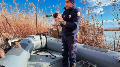 Uluabat Gölü’nde usulsüz avlananlara 431 bin TL ceza