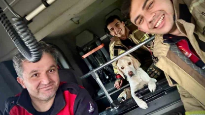 Umuda uzanan eller: Mahsur kalan köpeği itfaiye kurtardı