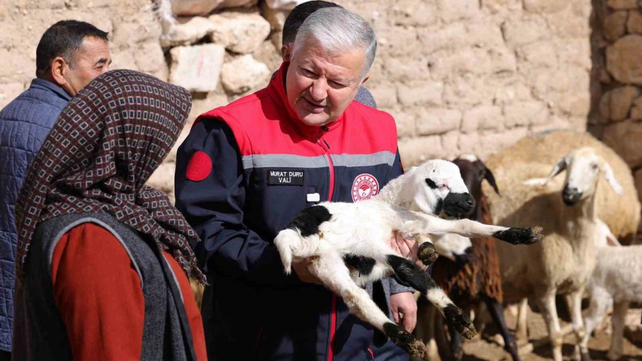 Vali Duru: "1,5 milyarlık finansmanla 125 bin küçükbaş hayvan alımı yapılacak"