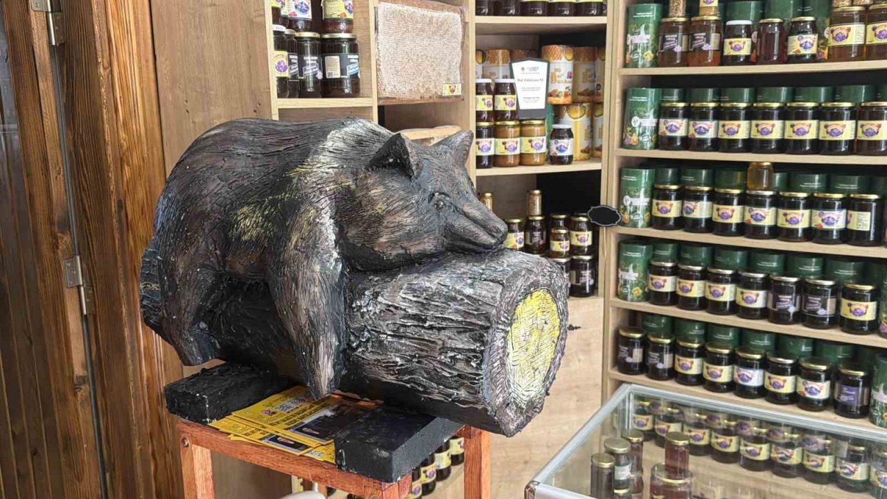 Viral olan ayı, satışları katladı: Balcı dükkanının başköşesine ’bayılan ayı’ dekoru yerleşti