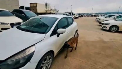 Yalova’da uyuşturucu operasyonu: 2 tutuklama