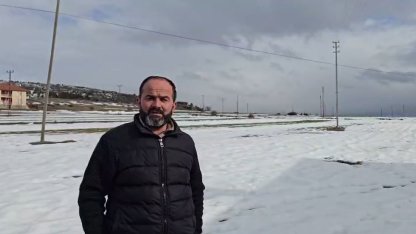 Yerleşim yerine inen kurdun rahat tavırları dikkat çekti