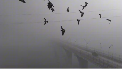 Yoğun sisten kaybolan yapılar dronla görüntülendi