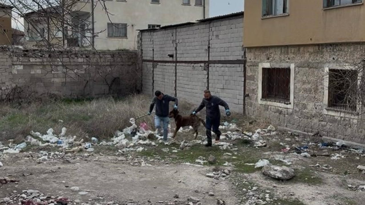 3 yaşındaki çocuğuna köpek saldıran baba: "Köpeğin çocuğumuzu bırakması için çok uğraştık"