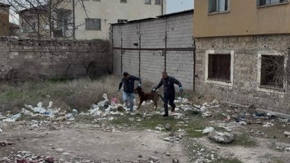 3 yaşındaki çocuğuna köpek saldıran baba: "Köpeğin çocuğumuzu bırakması için çok uğraştık"