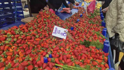 80 TL’lik çileğe yoğun ilgi