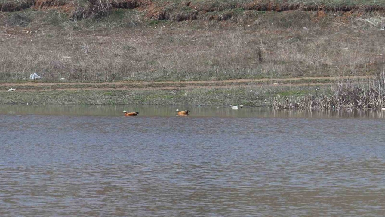 Ağustos ayında kurumaya başlayan Kızılca göleti yeniden doldu