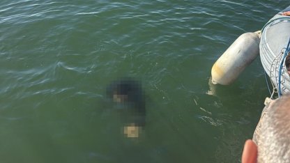 Akülü tekerlekli sandalyesiyle denize düşen kişi kurtarılamadı