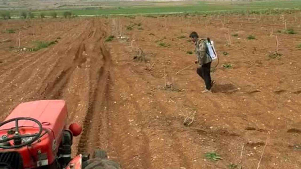 Araban’da Antep fıstığı tarlalarında yabancı otlarla ilaçlı mücadele