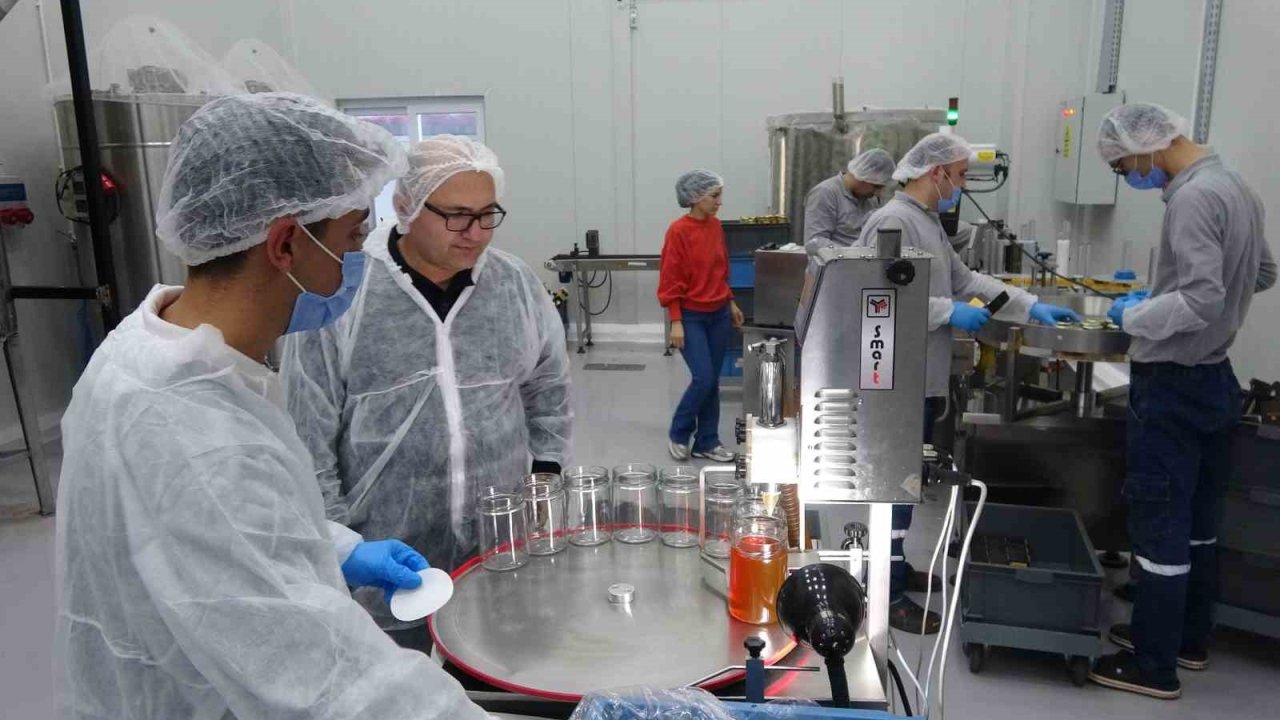 Arıcılar teknolojiyi yakından takip ediyor: Devlet desteğiyle modern tesis kurdu, 40 kişiye istihdam sağladı