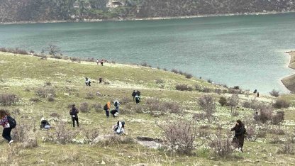 Bahar çiçeği nergisler doğaseverlerin ilgi odağı oldu