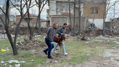 Başıboş köpeğin saldırdığı 3 yaşındaki çocuk ağır yaralandı