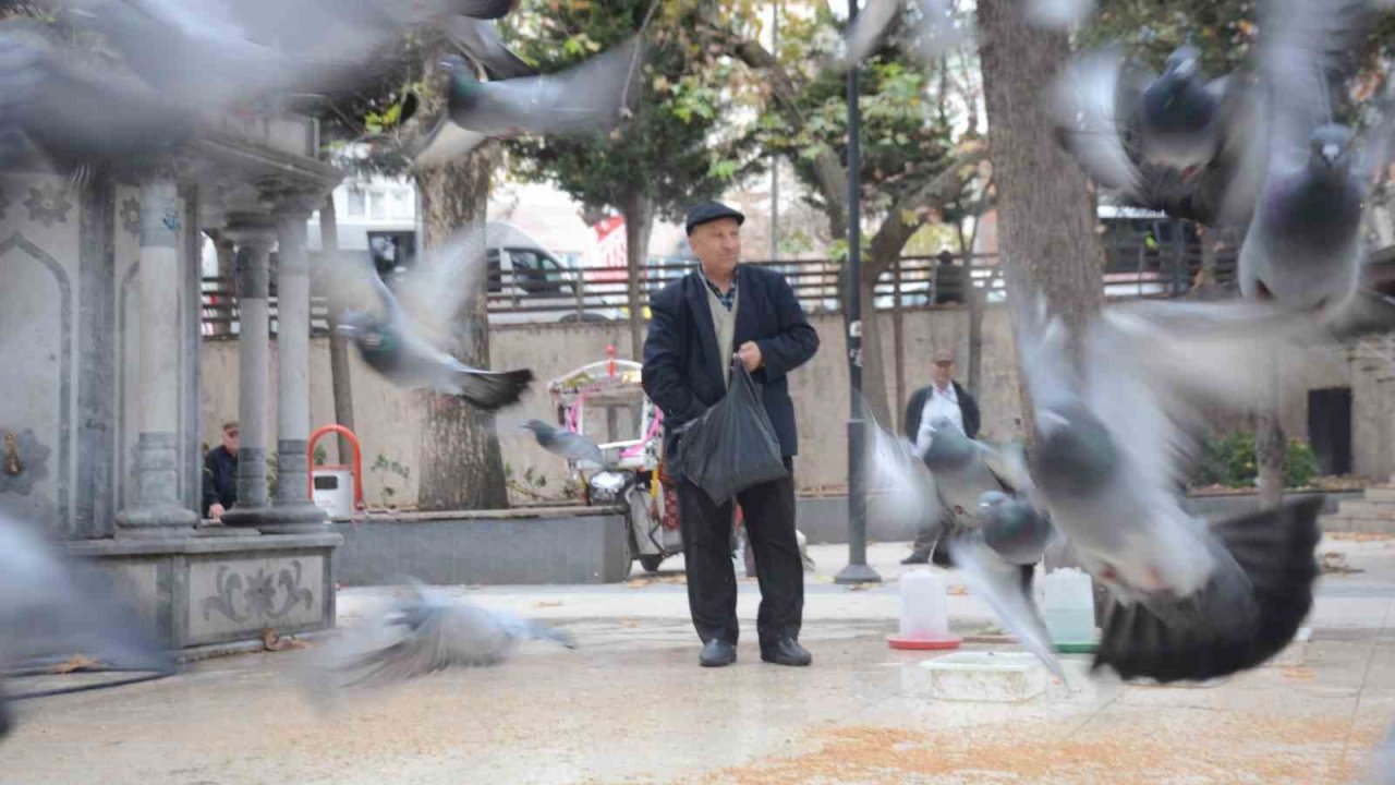 Bayramda eşini dostunu bıraktı, beslediği kuşlara koştu