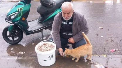 Bayramda sokak hayvanlarını unutmadı