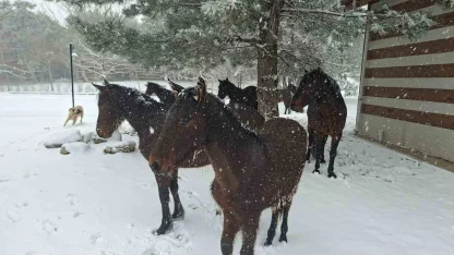 Bayramda Spil’e kar sürprizi