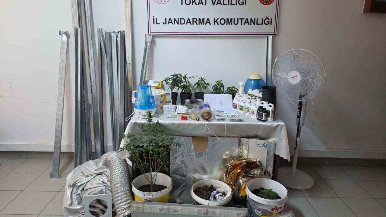 Bilgi notuyla apartman dairesinde uyuşturucu serası kurdular, jandarmadan kaçamadılar