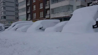 Bitlis mart ayında kara gömüldü