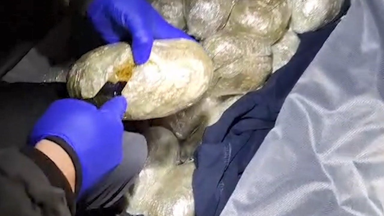 Bitlis’te 4 kilo 800 gram skunk ele geçirildi