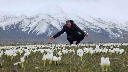 Bitlis’te baharın müjdecisi kardelenler açtı
