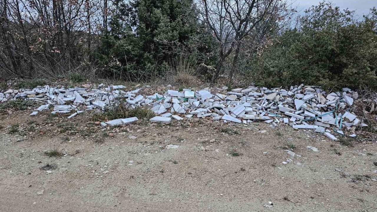 Bu kadarı da pes dedirtti