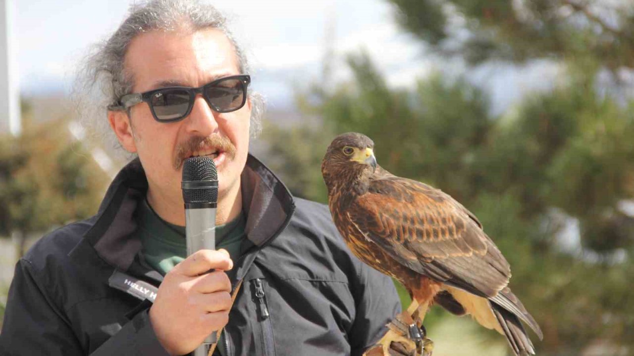 Bu Nevruz diğerlerinden farklı: Kurtlar alanda gezdi, şahin havada uçtu