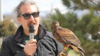 Bu Nevruz diğerlerinden farklı: Kurtlar alanda gezdi, şahin havada uçtu