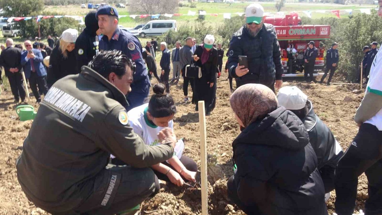 Burdur’da zeytin ve fıstıkçamı fidanları toprakla buluştu
