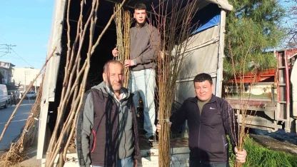 Burhaniye’de meyvecilik gelişiyor