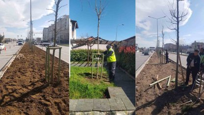 Bursa’nın 700 yıllık mirası 700 çınarla kök salıyor